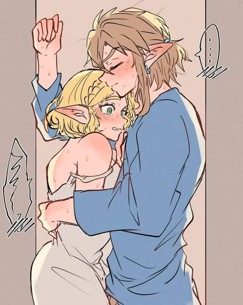 Sky Linked Universe, Link Zelda Totk, Zelda Botw Aesthetic, Zelink Fanart Spicy, Zelda X Link Fanart, Zelink Totk, Zelink Comic, Link And Zelda Love, Link Fanart