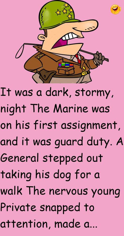 It was a dark, stormy, nightThe Marine was on his first assignment, and it was guard duty.A General stepped out taking his dog for a walk #funny, #joke, #humor Clean Funny Jokes, Clean Jokes, Joke Of The Day, Passive Aggressive, Amazing Life Hacks, Clean Humor, Irish Men, Out Loud, A Walk