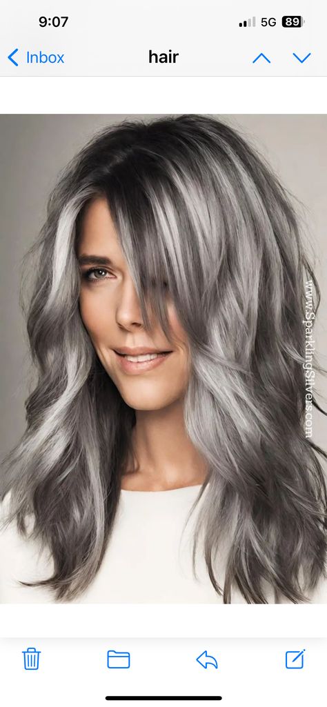 Long Fine Hair With Layers Round Faces, Highlights Lowlights Grey Hair, Salt And Pepper Long Hair, Smokey Gray Hair, Brown And Gray Hair, Blonde Hair With Silver Highlights, Gray Ombre Hair, Brown And Silver Hair, Bold Hairstyles