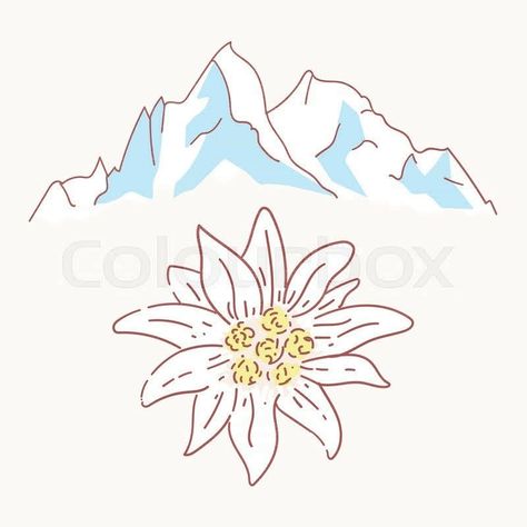 Germany Tattoo, Minimal Tattoo Design, Edelweiss Flower, Flower Symbol, Mountain Drawing, Star Quilt Patterns, Logo Set, Art Icon, Free Illustrations