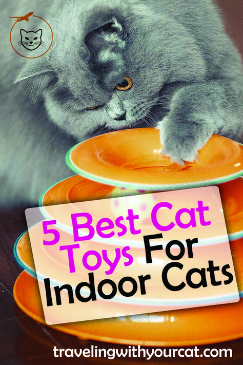 We went ahead and saved you the trouble and performed extensive research on which toy is best for your indoor cat. We compared the prices, read the reviews #Cat_toys Best Cat Toys, Cool Cat Toys, Cat Entertainment, Cat Brain, Getting Bored, Cat Products, Cats Products, Kitten Toys, Cat Care Tips