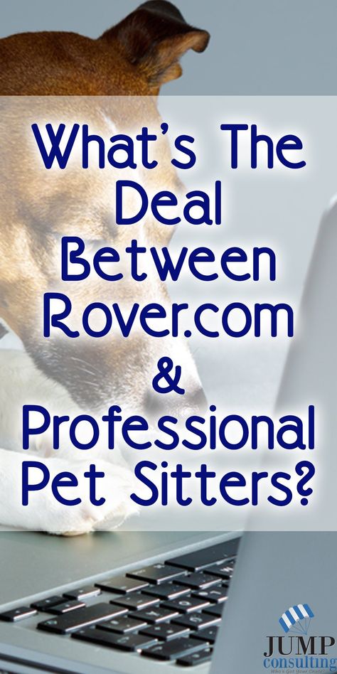 What’s The Deal Between Rover.com and Professional Pet Sitters Anyways? Dog Services, Pet Services Business, Dog Farm, Job Growth, Pet Care Business, Pet Sitting Business, Dog Walking Business, Pet Sitting Services, House Sitter