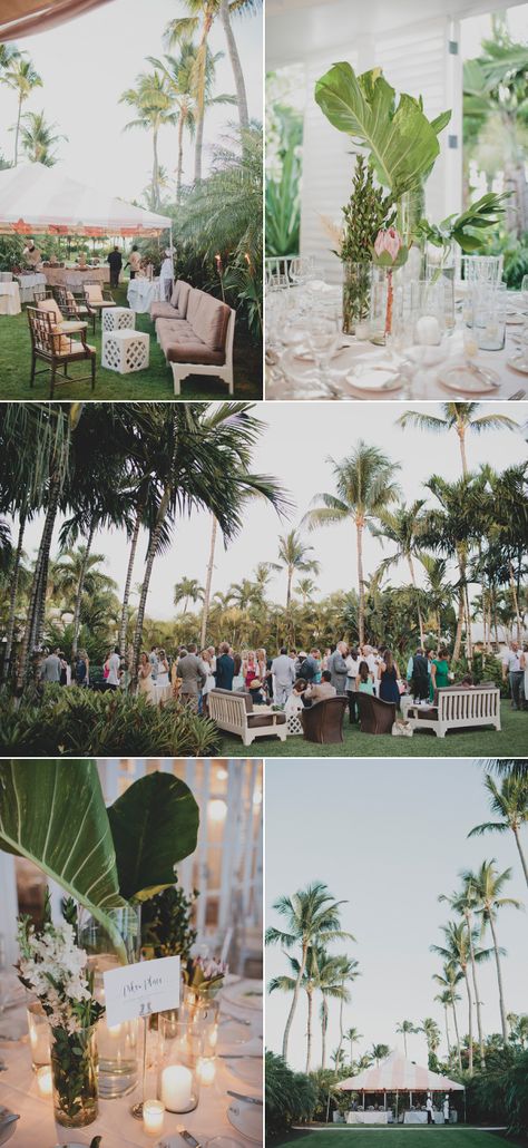 Bahamas Wedding Ideas, Bahamas Wedding, Nassau Bahamas, Wedding Beach, Wedding Arch, Photography And Videography, Bahamas, Style Me Pretty, Wedding Inspo