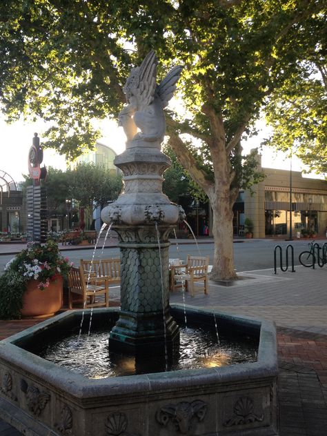 Downtown Walnut Creek,CA Walnut Creek California, San Gabriel Mountains, Local Pride, Walnut Creek, Central Valley, East Bay, California Homes, San Francisco Bay Area, Bay Bridge