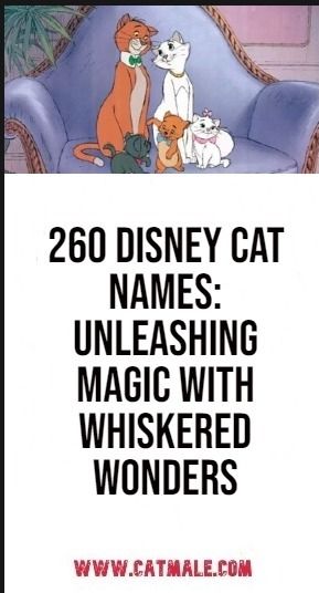 260 Disney Cat Names: Unleashing Magic with Whiskered Wonders Disney Girl Names, Cat Names Boy, Disney Characters Girl, Disney Pet Names, Disney Cat Names, Cat Names Girl, Disney Character Names, Boy Cat Names, Girl Cat Names