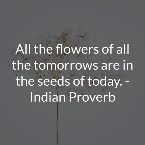 All the flowers of all the tomorrows are in the seeds of today. - Indian Proverb 🌱🌼  This profound proverb reminds us of the potential that lies within each tiny seed. At Anve Honey, we believe in the power of seeds, and we're committed to bringing you the highest quality seeds for your garden. Plant today for a blooming tomorrow! Let's sow the seeds of a greener future together! 🌿🌻 Yiddish Proverb, Indian Proverbs, Top Quotes, Keep Pushing, Food For Thought, New Beginnings, Proverbs, The Flowers, Words Quotes