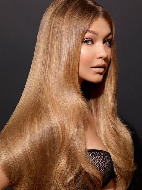 Gigi Hadid Hair, Greek Hair, Hair Blond, Golden Blonde Hair, Glossy Hair, Afro Wigs, Dark Blonde Hair, Brown Wig, Long Blonde