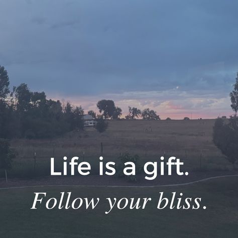 Hopeful Quotes, Allow Yourself To Feel, Follow Your Bliss, Life Is Beautiful Quotes, Twin Souls, Life Is A Gift, Inner Guidance, Fandom Memes, Hope Quotes