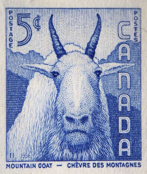 Canadian 5c postage stamp featuring a Mountain Goat Canada Stamp, طوابع بريد, Postage Stamp Design, طابع بريدي, Post Stamps, Old Stamps, Mail Stamp, Postage Stamp Art, 5 Cents