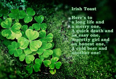 *Irish Toast*     Cheers! Irish Toast, Dark Irish, Irish Toasts, Irish Sayings, Irish Cheers, Beer Snob, Irish Quotes, Irish Roots, Cheer Quotes