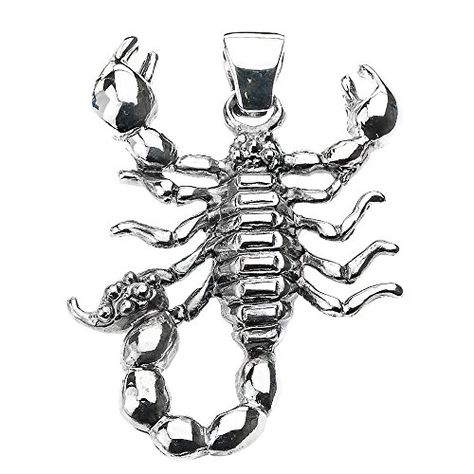 925 Sterling Silver Stunning Scorpio Zodiac Charm Scorpion Pendant ** You can find more details by visiting the image link.Note:It is affiliate link to Amazon. #NecklacesCollection 2024 Intentions, Necklaces Collection, Lover Necklace, Anniversary Wedding Band, Scorpio Zodiac, Special Jewelry, Pendant Silver, Coin Pendant, Animal Jewelry