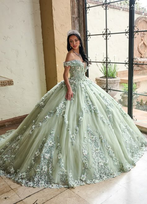 Tiana Quince, Fairytale Quince, Off The Shoulder Corset Dress, Dama Dresses Quinceanera, 1500 Dresses, Quinceanera Tiaras, Quinceanera Themes Dresses, Quinceañera Ideas, Future People