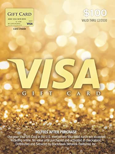 Visa $100 Gift Card (plus $5.95 Purchase Fee) Visa Debit Card, Raffle Prizes, Visa Gift Card, Visa Card, Diaper Raffle, Christmas 2023, The Ultimate Gift, Amazon Gift Cards, Amazon Gifts