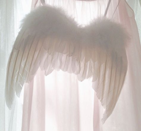 Kyoko Sakura, Lizzie Hearts, Catty Noir, Angel Aesthetic, Mötley Crüe, Norse Mythology, Soft Grunge, Fallen Angel, An Angel