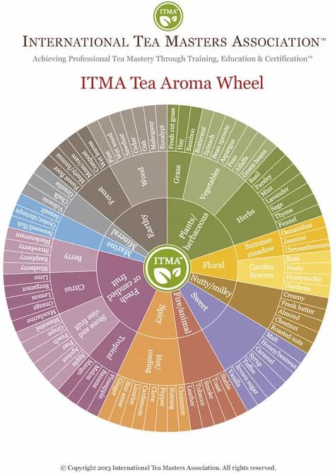 Flavor Wheel, Tea Blends Recipes, Notes Life, Herbal Teas Recipes, Tea Culture, Tea Tasting, Tea Garden, Flavored Tea, Tea Lovers