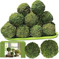 Fake Moss, Decorative Balls, Bowl Vase, Natural Decor, Moss Balls, Decorative Spheres, Wooden Cheese Board, Kitchen Food Storage, Vase Fillers