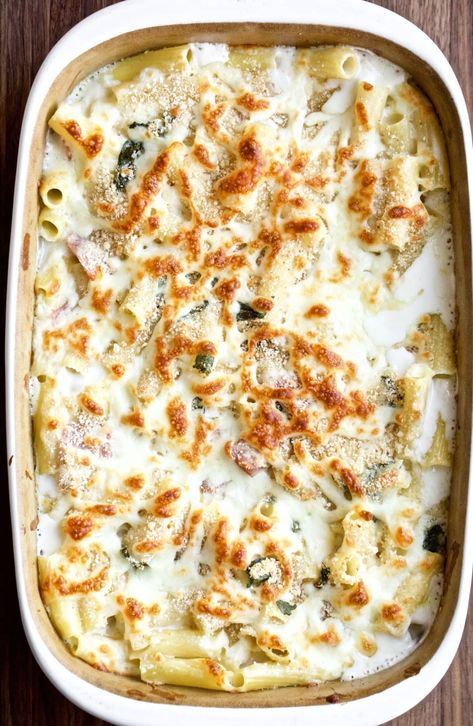 Cheese And Broccoli Pasta, Pasta With White Sauce, Pasta With Red Sauce, Ham And Cheese Pasta, Baked Ziti With Sausage, Broccoli Pasta Bake, Cheesy Pasta Bake, Ham Pasta, Cream Sauce Pasta