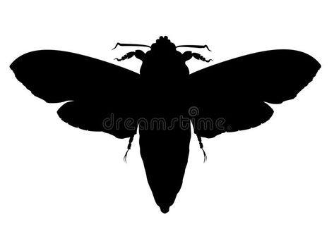 Moth silhouette. This is symbol of moth #Sponsored , #Sponsored, #advertisement, #Moth, #symbol, #moth, #silhouette Moth Stencil, Moth Silhouette, Silhouette Animals, Moth Illustration, Movie Poster Design, Cut Out Shapes, Movie Posters Design, Inspiration Painting, Art Inspiration Painting