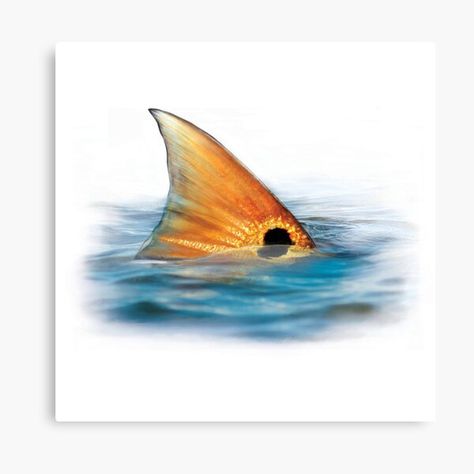 Redfish Art, Lake Painting, Red Fish, Best Fishing, Fish Painting, Fishing Trip, Fish Art, Beach Art, Fly Fishing