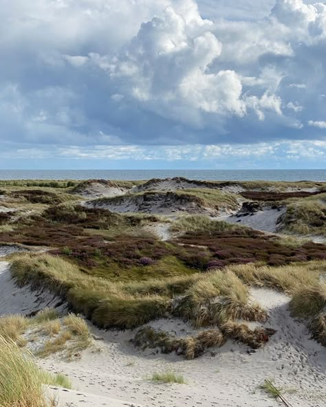 Denmark Forest, Denmark Beach, Denmark Aesthetic, Silkeborg Denmark, Helsingor Denmark, Bornholm Denmark, Instagram Giveaway, Sacred Places, Denmark