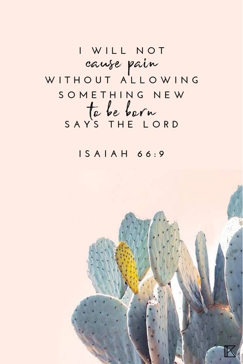 Bible Healing Quotes, Life Verse Inspiration, Isaiah 66:9, Gods Promises Verses Scriptures, Philippians Scripture, Scripture Quotes Encouraging, Biblical Quotes Inspirational, Inspirational Scripture Quotes, Beautiful Scripture