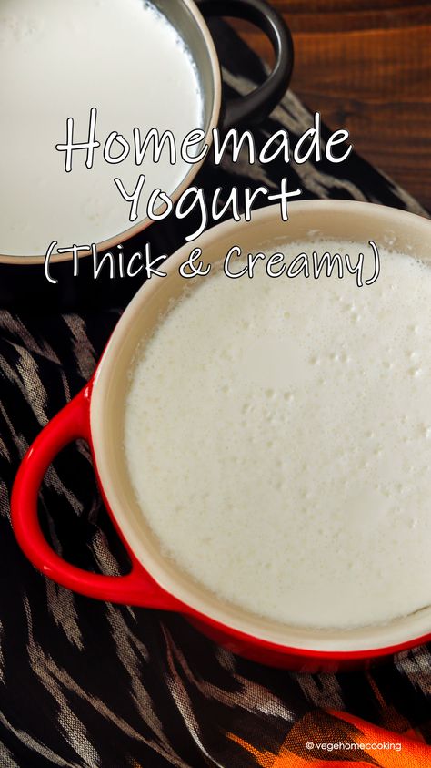 Homemade Yogurt / How To Make Curd or Dahi at Home Thick Yogurt, Making Yogurt, Eggless Baking, Cold Desserts, Homemade Yogurt, Yogurt Recipes, Freeze Drying, Fat Free, Clay Pots