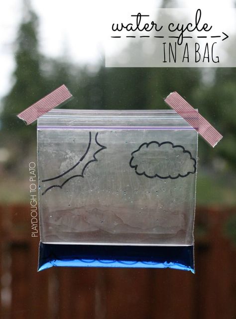 Water Cycle in a Bag - Playdough To Plato Weather Activities For Preschoolers, Water Cycle In A Bag, Weather Activities Preschool, Weather Activities For Kids, Spring Science, Preschool Weather, Playdough To Plato, Weather Theme, Weather Unit