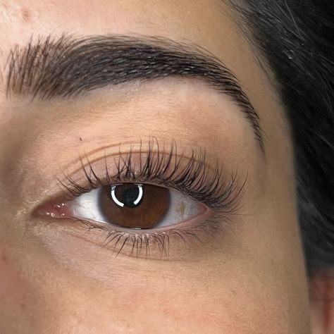 Lash Lift & a Hybrid eyebrow Tint 🤍 Ready to enhance your look? Book your appointment today! #wednesbury #lashlift #wednesburylashes #wednesburylashtech #lasheswednesbury #lashliftwednesbury #wednesburysalon #westmidlands #lashlifting #hybridbrows #hybridbrowtint #browtint #wolverhampton #westmidlands Eyebrow Tint, Eyebrow Tinting, Brow Tinting, Wolverhampton, Manifestation Board, West Midlands, Lash Lift, Book Your Appointment, Look Book