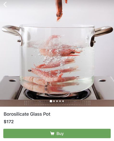 You can see right through me.  https://fancy.com/things/331414303439587333/Borosilicate-Glass-Pot?ref=SeansFancy Safest Cookware, Kitchen World, Glass Pot, Pasta Pot, Food Storage Boxes, Kitchen Things, Little Kitchen, Kitchen Ware, Cooking Gadgets