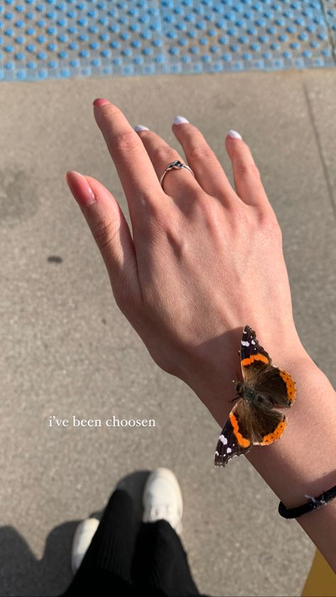 Spring Story Ideas, Captions For Butterfly Pictures, Spring Insta Story, Spring Instagram Story Ideas, Caption For Butterfly Photo, Spring Ig Story, Butterfly Captions Instagram, Butterfly Instagram Story, Nails Story Instagram Ideas