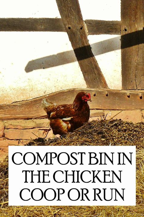 Chicken Composting, Compost Bin Diy, Walk In Chicken Coop, Raising Quail, Raising Chicks, Backyard Chicken Coop Plans, Backyard Chicken Farming, Chicken Eating, Chicken Run