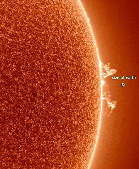 Universal Curiosity on Twitter: "Size of the Earth compared to the Sun.… " Tata Surya, University Of Paris, Earth And Space Science, Blue Planet, Space Pictures, Earth From Space, Space Science, Space And Astronomy, Space Exploration