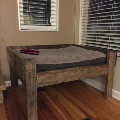 Tall Dog Bed, Dog Bed Diy Large, Diy Raised Dog Bed, Dog Window Seat, Diy Elevated Dog Bed, Crib Mattress Dog Bed, Dog Bed Diy, Dog Bed Frame, Wood Dog Bed