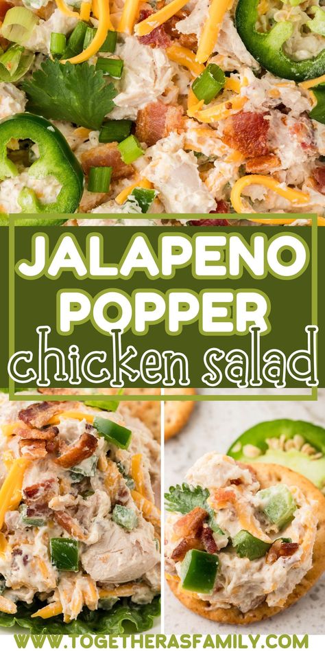 Jalapeño Popper Chicken Salad is mildly spicy, super creamy, and loaded with all the things you love about classic jalapeño poppers. This chicken salad gets dressed up with cream cheese, cheddar cheese, bacon, and jalapeños. Serve inside buttery and flakey croissants! Chicken Salad Jalapeno, Chicken Salad With Jalapenos, Jalapeno Popper Chicken Salad, Jalapeño Chicken Salad, Spicy Chicken Salad, Jalapeno Chicken Salad Recipe, Recipes With Jalapenos, Spicy Chicken Salad Recipe, Walnut Chicken Salad