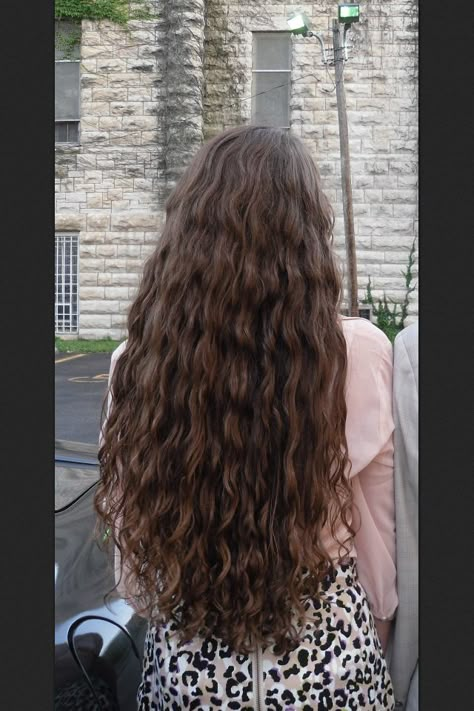 Long Wavy Hair Natural 2b, Long Messy Wavy Hair, Long Natural Brown Hair, Naturally Wavy Long Hair, Extra Long Brown Hair, Long Brown Hair Curly, Really Long Curly Hair, Long 2c Hair, Long Naturally Wavy Hair