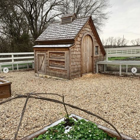 Joanna Gaines Chicken Coop, Joanna Gaines Garden Shed, Joanna Gaines Garden, Cute Chicken Coops, Magnolia Farms, Farm Lifestyle, Coop Plans, Farmhouse Landscaping, Chicken Coop Plans