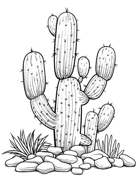 Cactus with Desert Rocks: A cactus surrounded by interestingly shaped desert rocks and pebbles. (Free Printable Coloring Page for Kids) How To Draw A Cactus, Longhorn Skull Drawing, Cactus Drawings, Cactus Sketch, Cactus Outline, Desert Rocks, Desert Scenes, Cactus Printable, Cactus Drawing