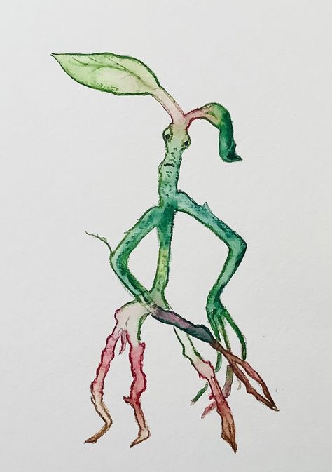 This lesson teaches how to draw Pickett the Bowtruckle from Magical Beasts and where to find them, and to paint it using wonderfully mess-free watercolour pencils, although you can just colour in if you don't have paints! The lesson includes drawing techniques which break the drawing down step by step. The painting is done using watercolour pencils and is explained in the trademark Little Art School 'easy to follow' steps. Bowtruckle Tattoo, Harry Potter Journal Ideas, Harry Potter Journal, Hp Quotes, Magical Beasts, Potter Tattoo, Watercolour Pencils, How To Draw Steps, Draw Step By Step