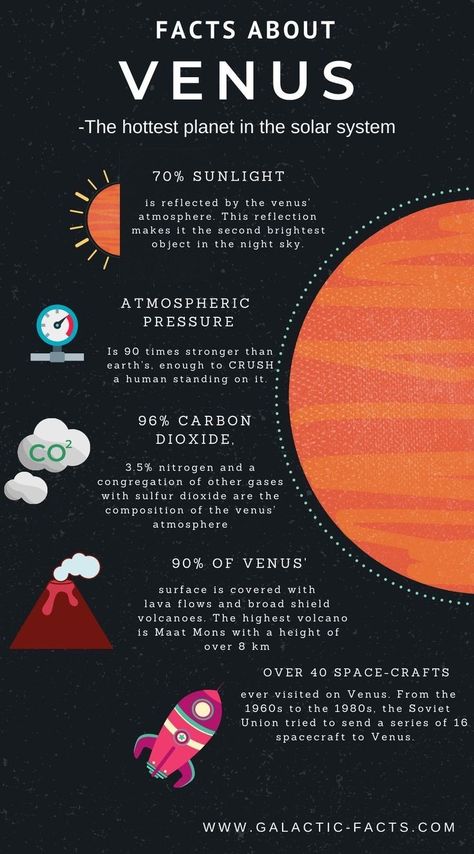 Venus Facts, Solar System Facts, Solar System Projects, Astronomy Facts, Planet Venus, Astronomy Science, The Planet Earth, Cool Science Facts, Space Facts