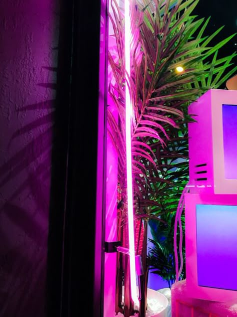 Neon Palm Tree Aesthetic, Tropical Disco, 80s Miami, Bedroom Photoshoot, Neon Garden, Neon Palm Tree, Green Carnation, Vibrant Aesthetic, Neon Jungle