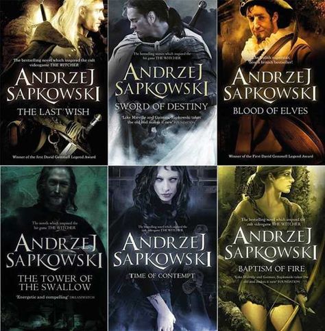 The Witcher Book Series, The Witcher Story, Witcher Books, Witcher Series, Blood Elf, The Witcher Books, The Last Wish, Books Collection, Fiction And Nonfiction