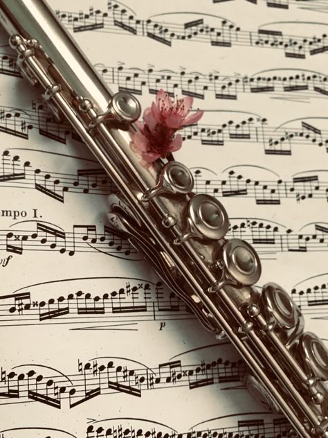 Flute Music Aesthetic, Flute Aesthetic Wallpaper, Flauta Aesthetic, Aesthetic 1800s, Regency Mansion, Flute Aesthetic, Fields Aesthetic, The Viscount Who Loved Me, Quinn Aesthetic