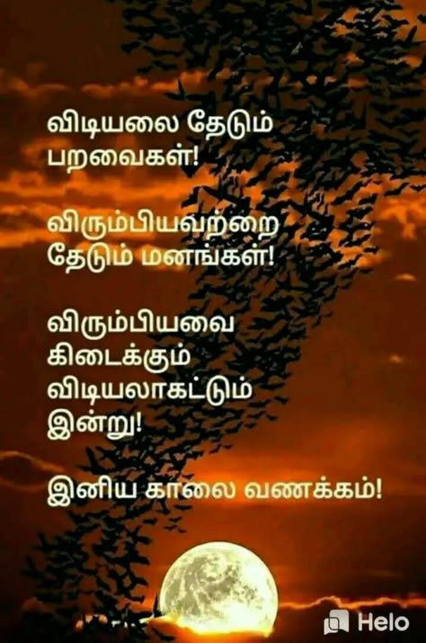 Good Nyt Images, Good Nyt, Tamil Wishes, Cute Motivational Quotes, Sms Language, Tamil Love Quotes, Good Morning Happy Friday, Good Morning Animation, Good Morning Friends Quotes