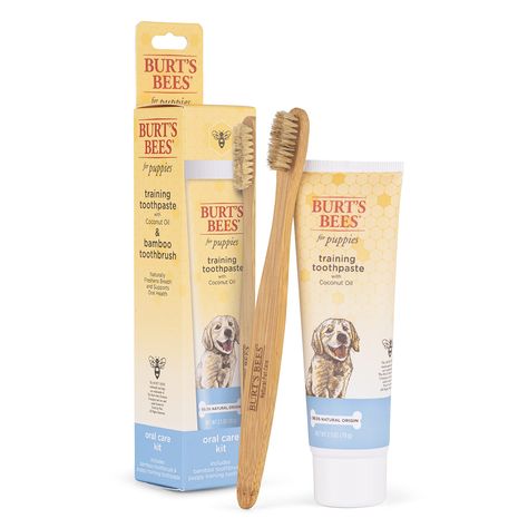 Burt's Bees Natural Oral Care Kit for Puppies, Flavorless, 2.5 oz Tube and Bamboo Brush| Puppy Training Toothbrush and Toothp Dog Room Decor, Dog Skin Care, Dog Toothpaste, Cute Dog Toys, Natural Pet Care, Toothbrush And Toothpaste, Puppy Mom, Dog Mommy, Dog Toothbrush