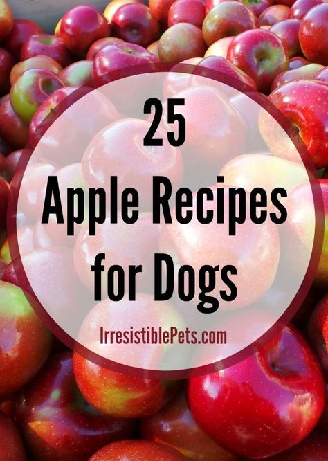 25 Apple Recipes for Dogs by IrresistiblePets.com Recipes For Dogs, Sweet Potato And Apple, Food Dog, Diy Dog Treats, Puppy Treats, Dog Cookies, Dog Biscuits, Dog Recipes, Dog Treat Recipes