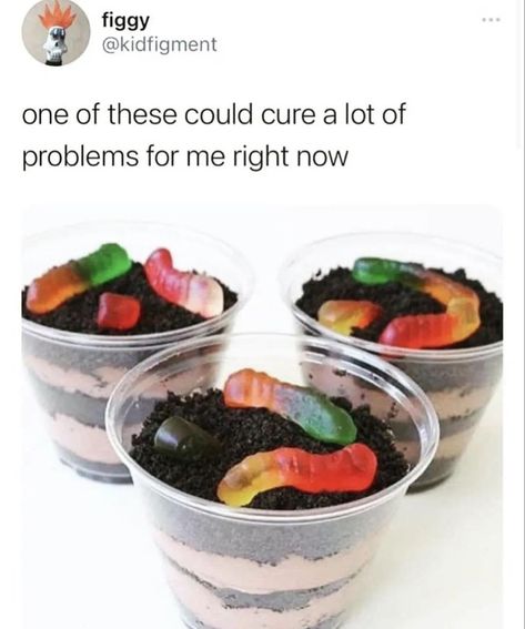 Dirt Cups, Kids Treat, Cute Snacks, School Snacks, Birthday Treats, What’s Going On, Interesting Food Recipes, Cute Food, Yummy Treats