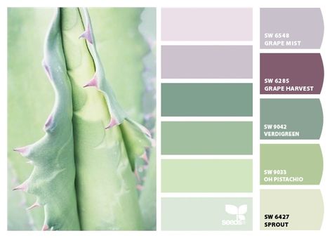 Paint colors from ColorSnap by Sherwin-Williams Interior Paint Colors Schemes, Pistachio Color, Paint Color Schemes, Color Schemes Colour Palettes, Green Colour Palette, Brand Color Palette, Calming Colors, Living Room Colors, Green Paint