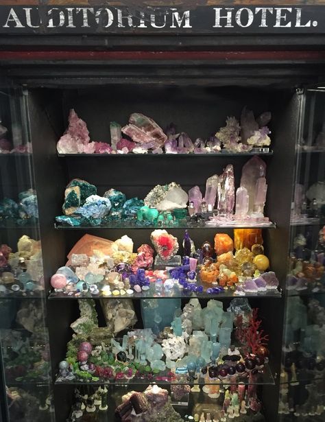 Crystal Collection Display, Rock Collection Display, Mini Museum, Collectors Home, Witchy Room, Metaphysical Art, Gothic Room, Crystal Vibes, Rocks And Fossils