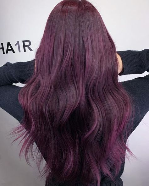 Plum Purple Hair, Purple Blonde Hair, Pelo Color Vino, Violet Hair Colors, Hair Color Plum, Red Blonde, Plum Hair, Hair Color Underneath, Wine Hair