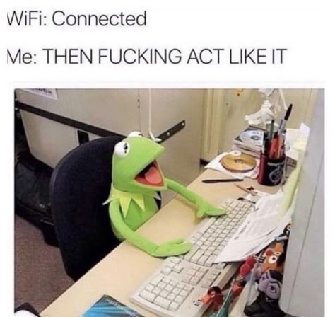 Kermit The Frog, Funny Asf, Extremely Funny, Funny Af, Relatable Funny, Relatable Post Funny, Very Funny Pictures, Some Funny Jokes, Funny Relatable Quotes